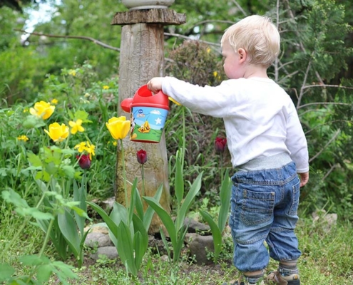 Week van de groene tuin